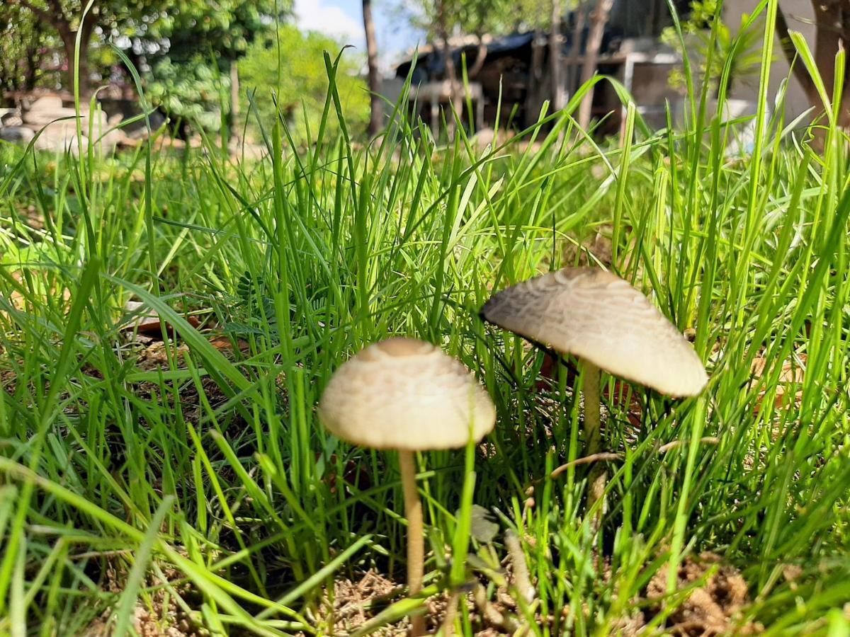 Casa Vista Hermosa Zewnętrze zdjęcie